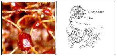 Mikroskopische Aufnahme des eingebundenen Schleifkorns und Beschreibung